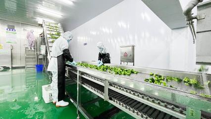 科技賦能，山丹果蔬煥新彩 精深加工引領傳統產業出圈