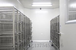 凈化工程凈化實(shí)驗(yàn)室設(shè)計(jì)與施工